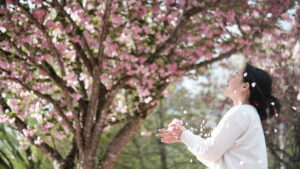 Huaqi Zhang by a cherry blossom tree