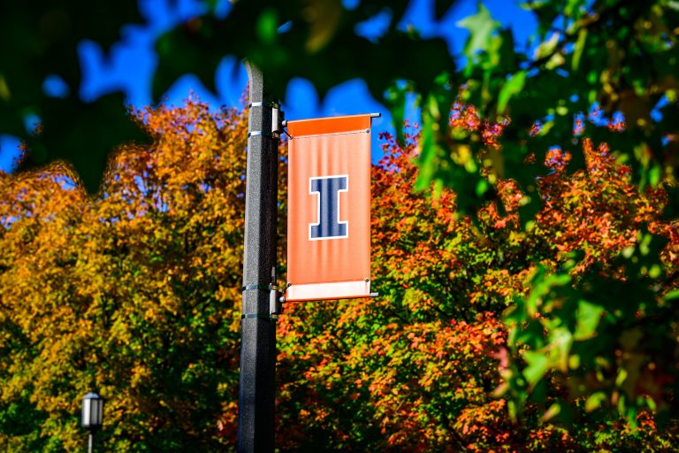 Dozens of portals to one: my.illinois for all