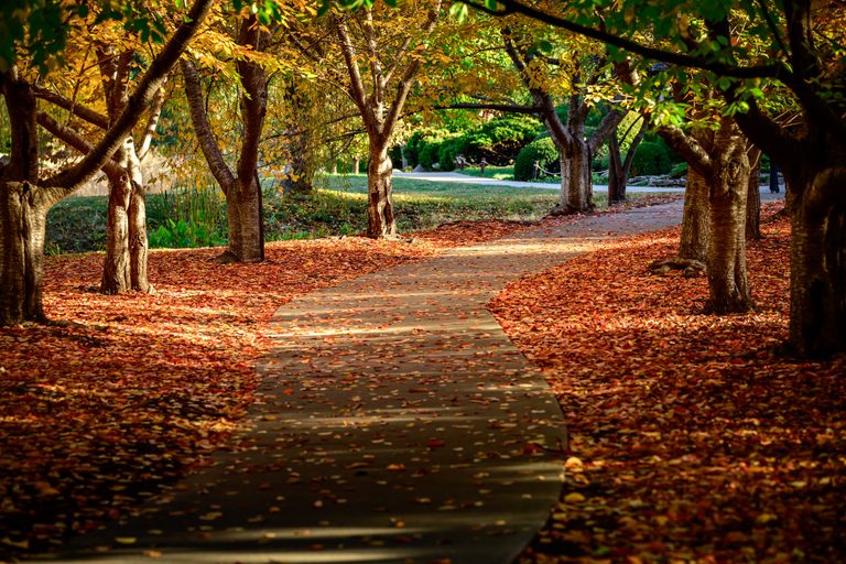 New students, check out our new-to-campus checklist!